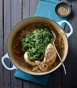 Pot roasted cider vinegar chicken and creamy onions and spinach